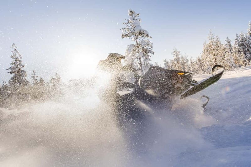 Rovaniemi: Backwoods Adventure Full Day Snowmobile Safari - The Snowmobiles and Driving Experience  