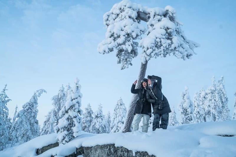 Rovaniemi City Photography Tour - Key Points