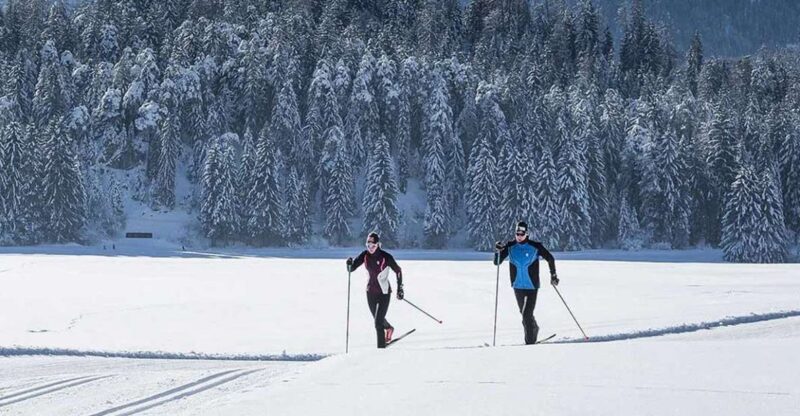 Rovaniemi: Cross Country Wilderness Ski Adventure - What to Expect