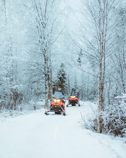 Rovaniemi: Early Winter 2 Hour Snowmobile Safari - An In-Depth Look at the Snowmobile Safari  