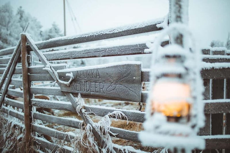 Rovaniemi: Early Winter Reindeer Sleigh Ride 1-2 km - Key Points
