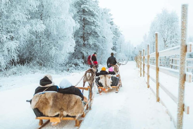 Rovaniemi: Early Winter Reindeer Sleigh Ride 1-2 km - The Practical Side: Logistics, Cost, and Value