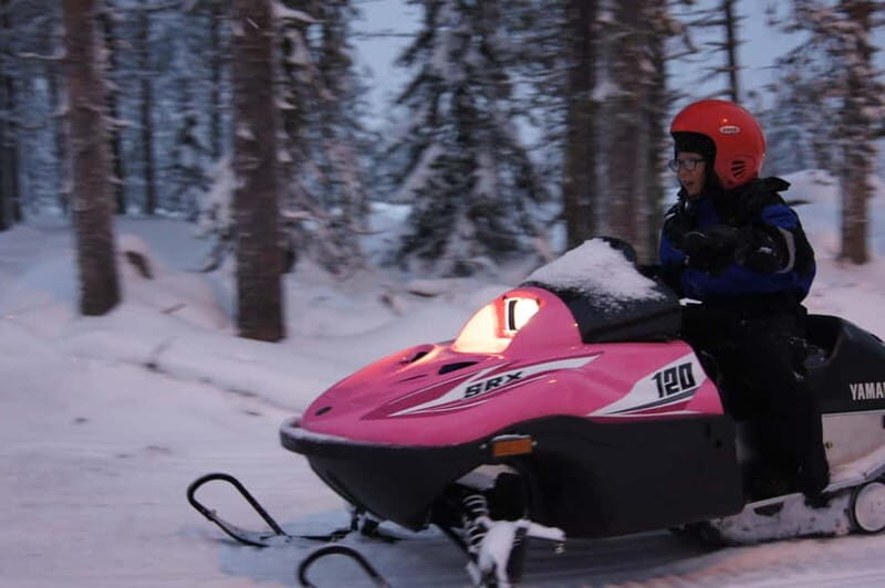 Rovaniemi: Family Snowmobile Safari - An Overview of the Experience