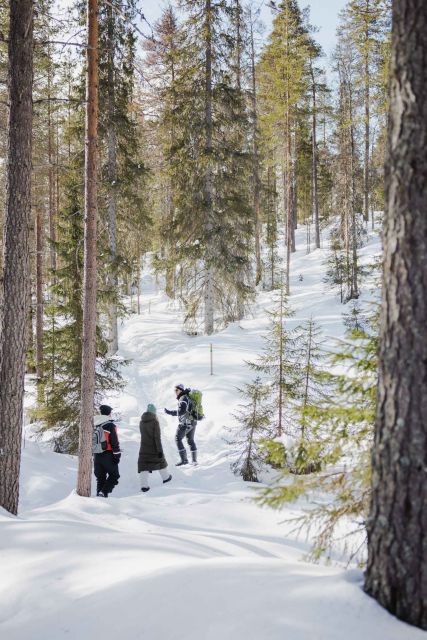Rovaniemi: Frozen Waterfalls of Korouoma Canyon Hike - Transportation Details