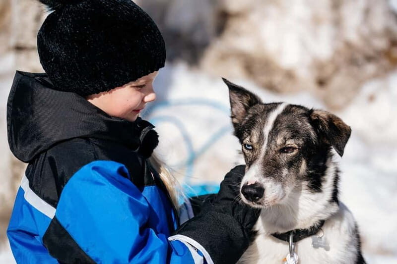 Rovaniemi: Full-Day Snow and Fun Activities - A Full-Day Adventure in Lapland: What You Can Expect