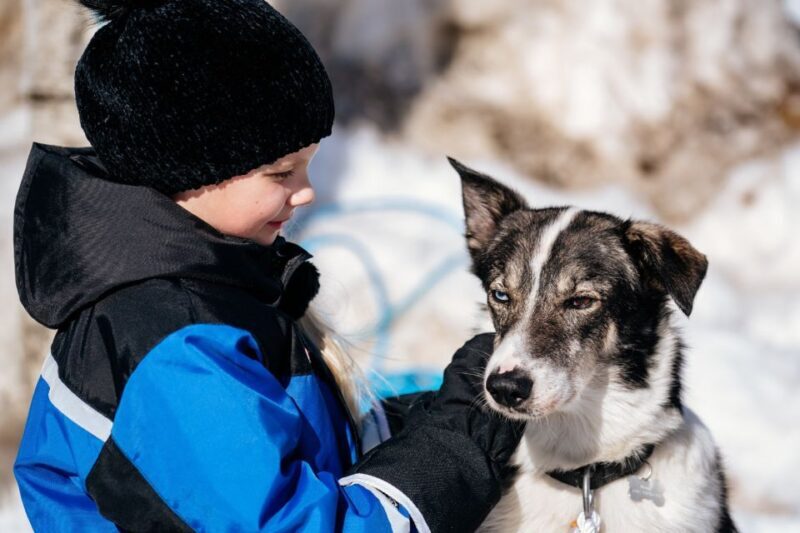 Rovaniemi: Full-Day Snow and Fun Activities - Key Points