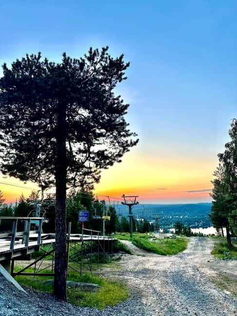 Rovaniemi: Full-Day Tour to Lapland's Best Attractions - An In-Depth Look at the Tour