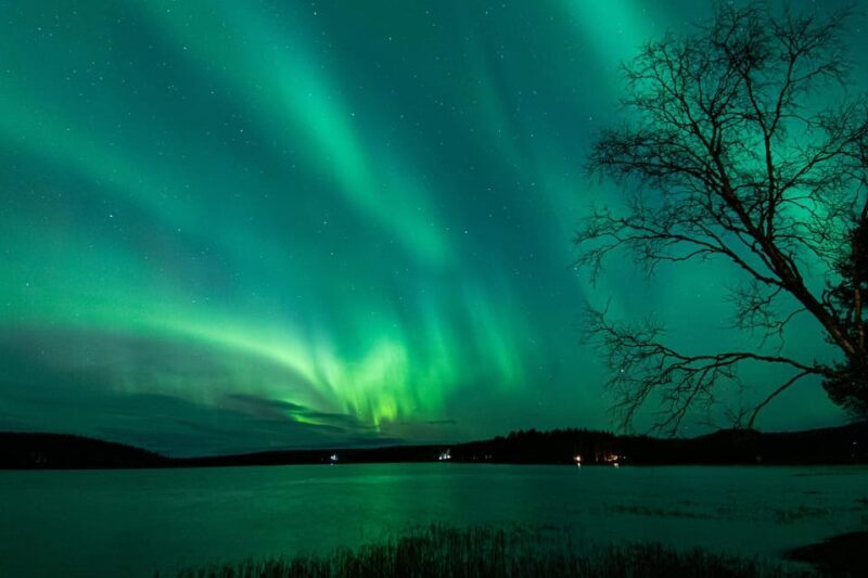 Rovaniemi: Guaranteed Aurora Hunting Tour with Local Guide - An In-Depth Look at the Aurora Hunting Experience
