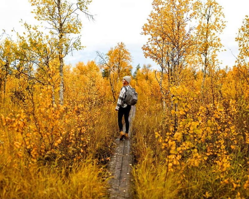Rovaniemi: Guided tour in Arctic Circle Trekking area - FAQs