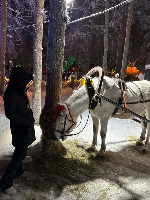 Rovaniemi: Guided Tour of Santa Claus Village - An In-Depth Look at the Tour Experience