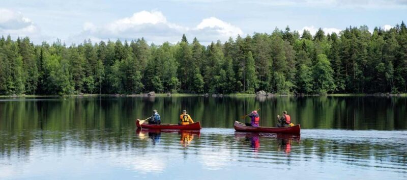 Rovaniemi: Guided Wilderness Kayaking Adventure - The Experience for Different Travelers