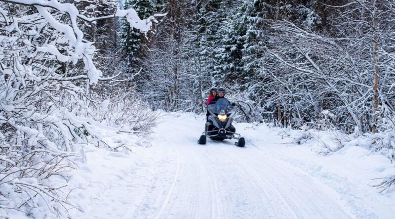 Rovaniemi: Guided Wilderness Snowmobile Safari & Barbeque - An In-Depth Look at the Rovaniemi Snowmobile Safari