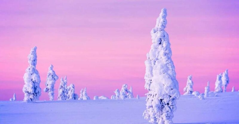 Rovaniemi: Half-Day Snowmobile & Ice Fishing Experience - Customer Feedback