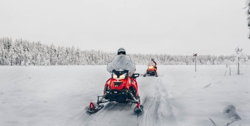 Rovaniemi: Half-Day Snowmobile Tour - An In-Depth Look at the Snowmobile Tour
