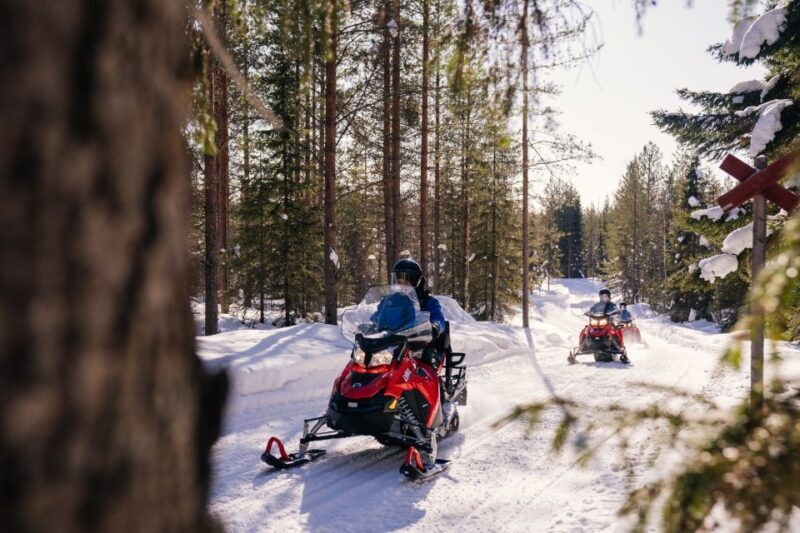 Rovaniemi: Half-Day Snowmobile Tour - The Sum Up