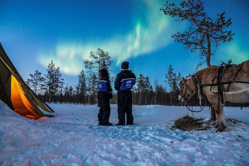 Rovaniemi: Horse Sleigh Ride under the Night Sky - FAQ
