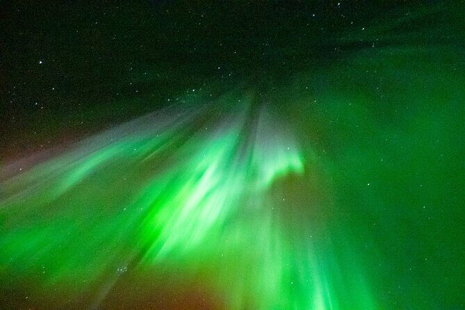 Rovaniemi Hunting Aurora at the Best Spots - What the Tour Offers: A Deep Dive