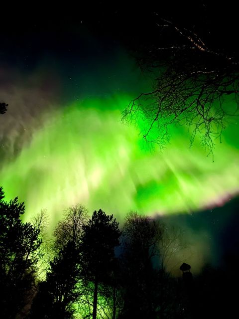 Rovaniemi Hunting Aurora at the Best Spots - The Itinerary: What You Can Expect