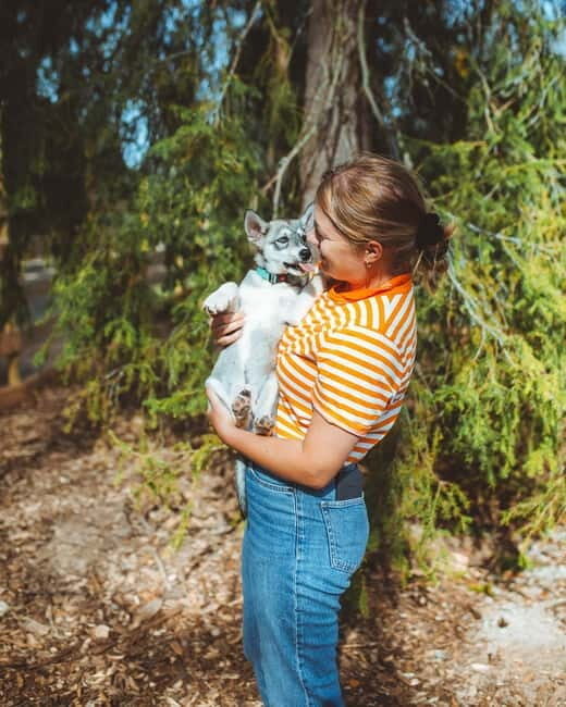 Rovaniemi: Husky Farm Visit - An In-Depth Look at the Husky Farm Visit Experience