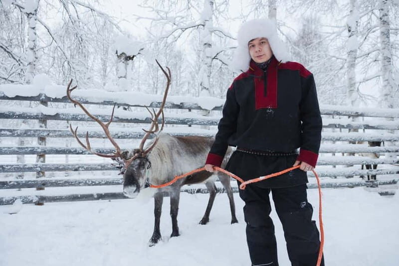 Rovaniemi: Husky & Reindeer Experience with Snowmobile Ride - What to Expect from the Tour