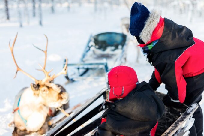 Rovaniemi: Husky & Reindeer Farm Visit With Snowmobile Ride - What to Expect