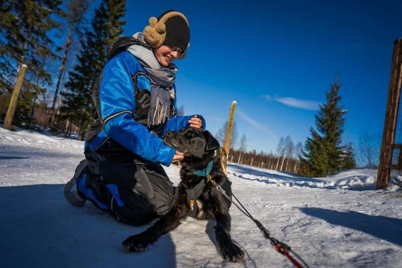 Rovaniemi: Husky Safari & Campfire BBQ  610 km SelfDrive - Rovaniemi: Husky Safari & Campfire BBQ 610 km Self-Drive — A Genuine Arctic Experience