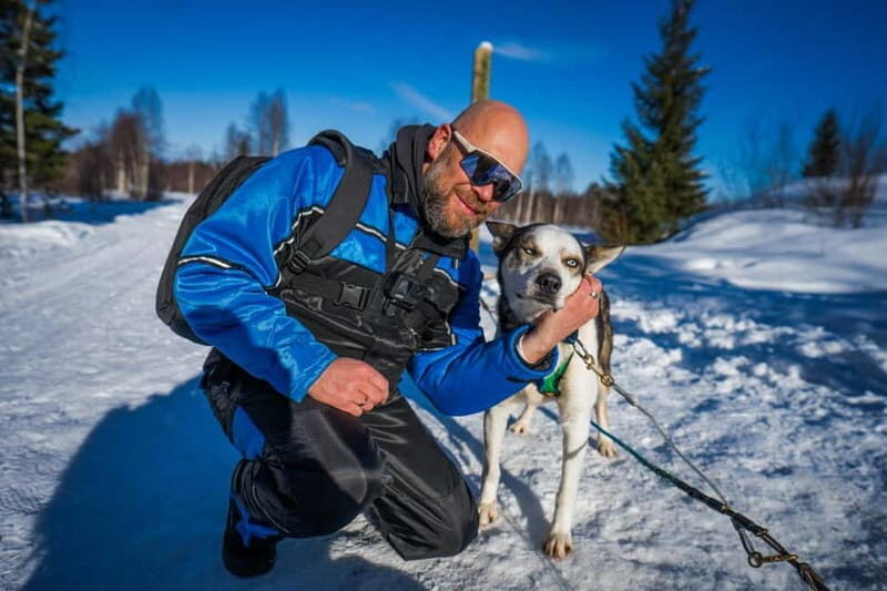 Rovaniemi: Husky Safari & Campfire BBQ  610 km SelfDrive - Who Is This Tour Best For?