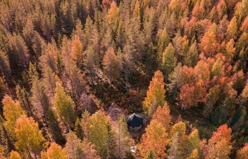 Rovaniemi: Husky Safari & Campfire BBQ  610 km SelfDrive - FAQs