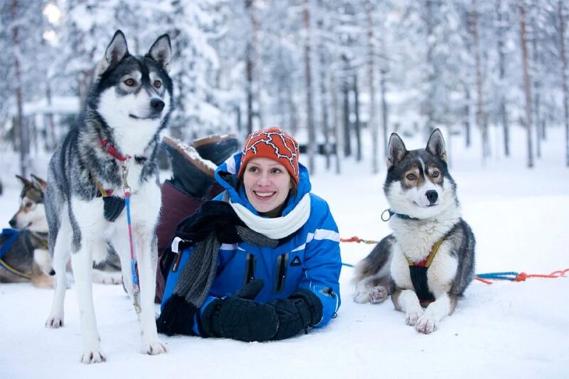 Rovaniemi: Husky Safari on a Snowy Trail - Customer Ratings and Reviews