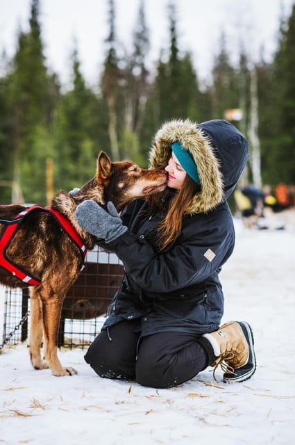 Rovaniemi: Husky Sled Ride and Farm Visit - Who Would Love This Experience?
