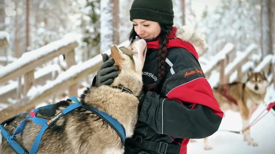 Rovaniemi: Husky Sled Ride and Farm Visit - Final Thoughts
