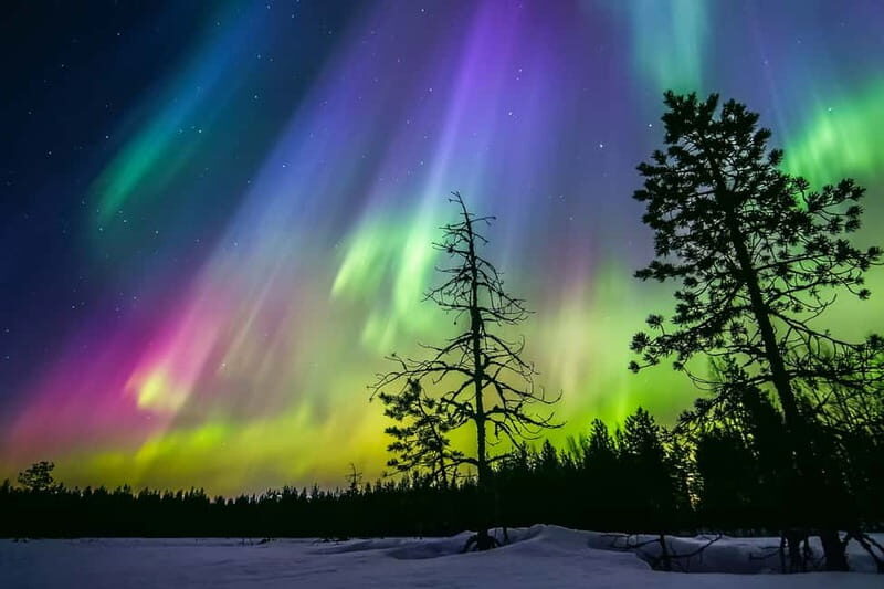 Rovaniemi: Ice Floating in Forest Lake with Aurora Borealis - Practical Aspects and Value