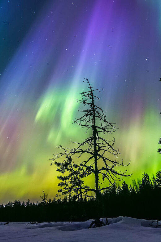 Rovaniemi: Ice Floating in Forest Lake with Aurora Borealis - Frequently Asked Questions