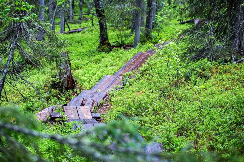 Rovaniemi: Korouoma Canyon and Auttiköngäs Falls Tour - An In-Depth Look at the Tour