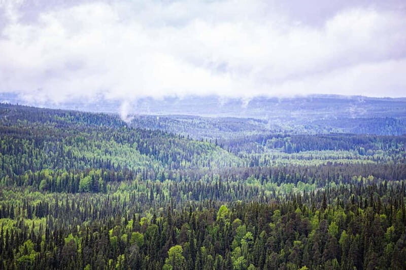 Rovaniemi: Korouoma Canyon and Auttiköngäs Falls Tour - The Sum Up