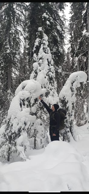 Rovaniemi: Korouoma Canyon Frozen Waterfalls Day Trip - Key Points