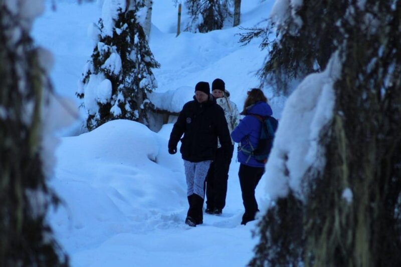 Rovaniemi: Korouoma Canyon Frozen Waterfalls Guided Hike - Who Should Consider This Tour?