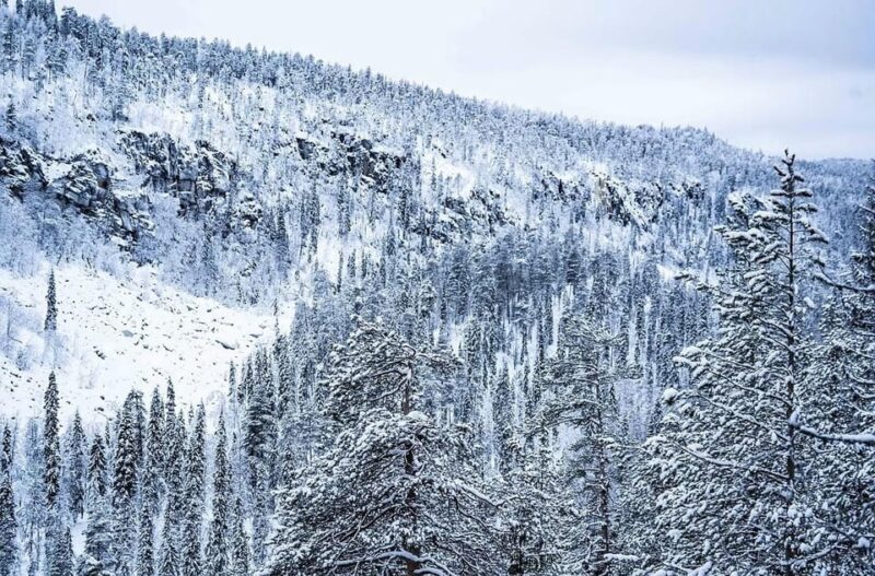Rovaniemi: Korouoma Canyon & Frozen Waterfalls Tour with BBQ - Final Thoughts