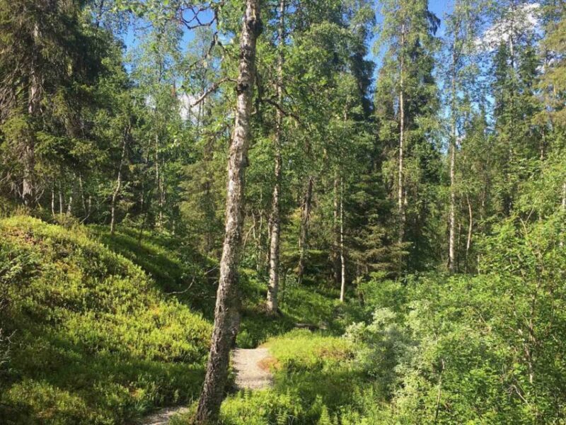 Rovaniemi: Korouoma Canyon & Waterfalls Tour with BBQ - Exploring Korouoma Canyon: A Natural Masterpiece