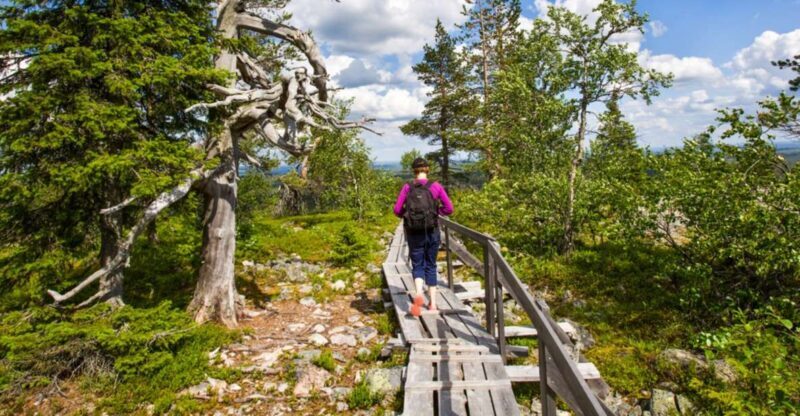 Rovaniemi: Korouoma Canyon & Waterfalls Tour with BBQ - Expert Guides and Personal Touch
