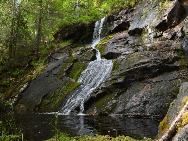 Rovaniemi: Korouoma Canyon & Waterfalls Tour with BBQ - Logistics, Value, and Practical Tips