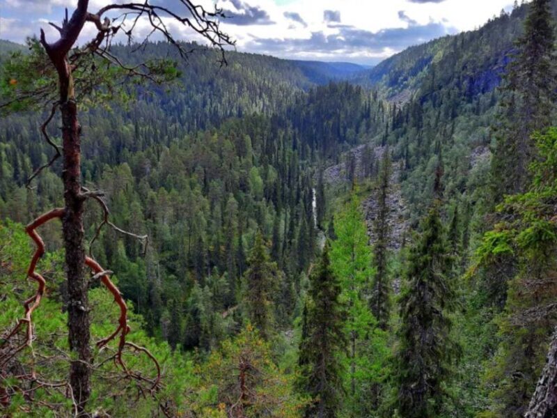 Rovaniemi: Korouoma Canyon & Waterfalls Tour with BBQ - Authentic Experiences and Cultural Value
