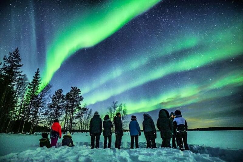 Rovaniemi: Lapland Northern Lights Tour With BBQ - Booking Your Adventure