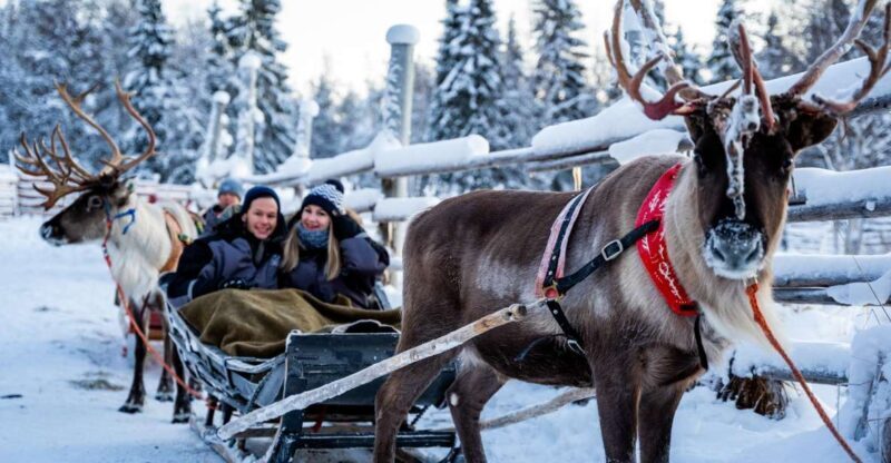 Rovaniemi: Local Reindeer Farm Visit with Sleigh Ride - The Itinerary Breakdown  