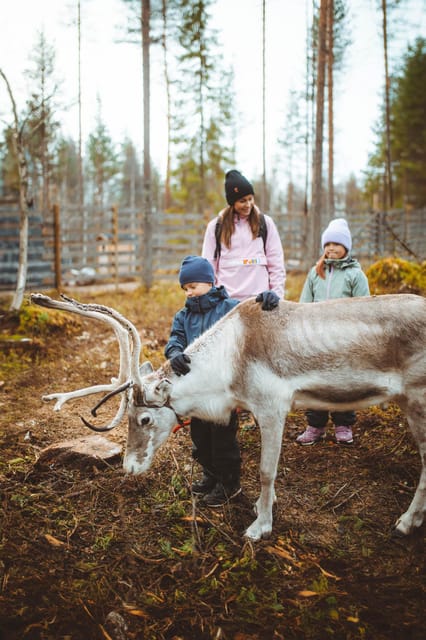Rovaniemi: Meet and Feed Reindeer - Frequently Asked Questions