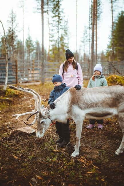 Rovaniemi: Meet Santa Claus and His Friends - Key Points