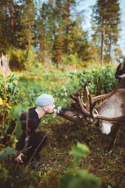 Rovaniemi: Meet Santa Claus and His Friends - An Honest Look at the Tour Experience