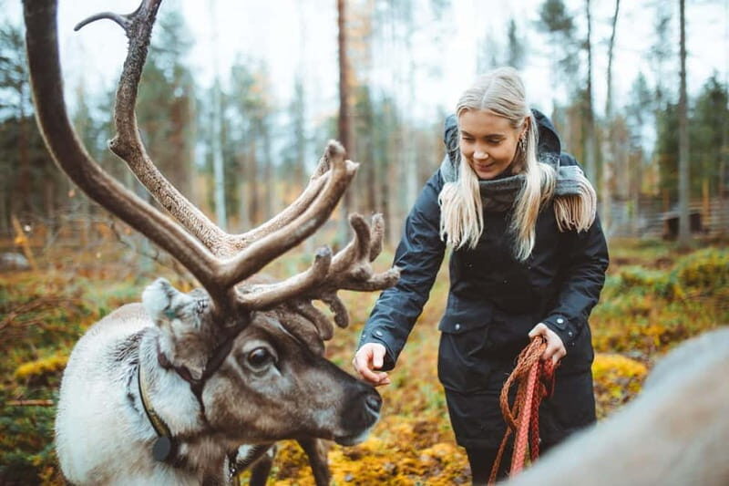 Rovaniemi: Meet Santa Claus and His Friends - Who Would Enjoy This?