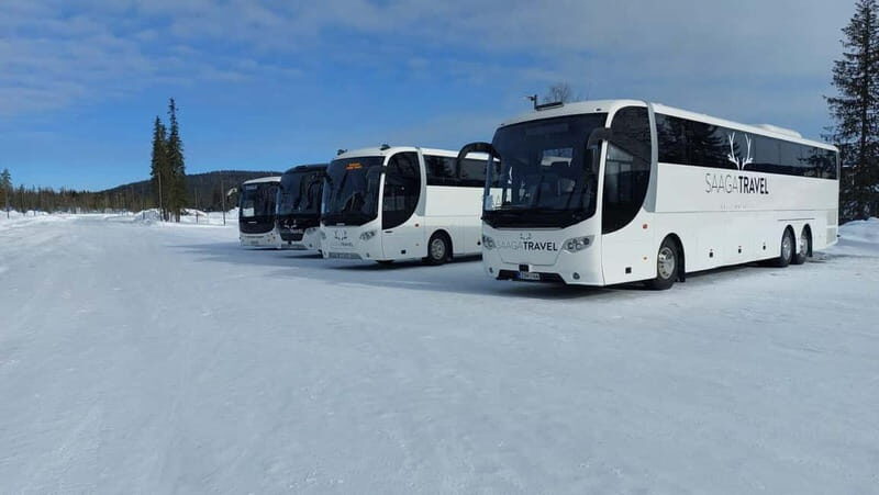 Rovaniemi: Northern Lights Bus Tour with Hot Drinks & Snacks - An Honest Look at the Northern Lights Bus Tour