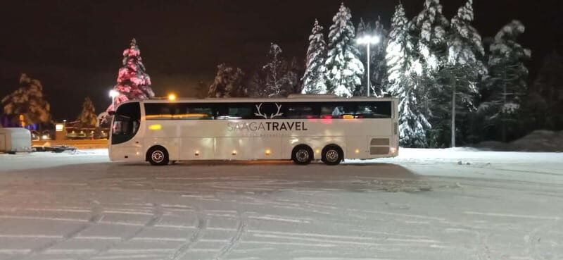 Rovaniemi: Northern Lights Bus Tour with Hot Drinks & Snacks - The Perfect Audience for This Tour